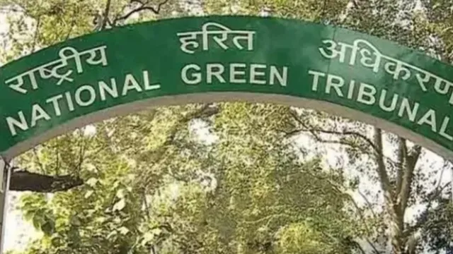 NGT-(1)-1771982286504_v